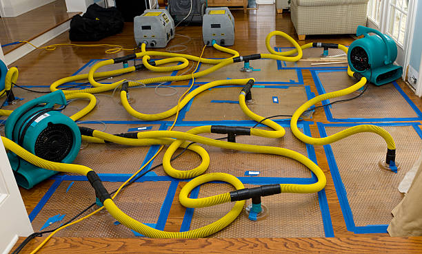 Professional Basement Flood Cleanup technician working in Marion, IL